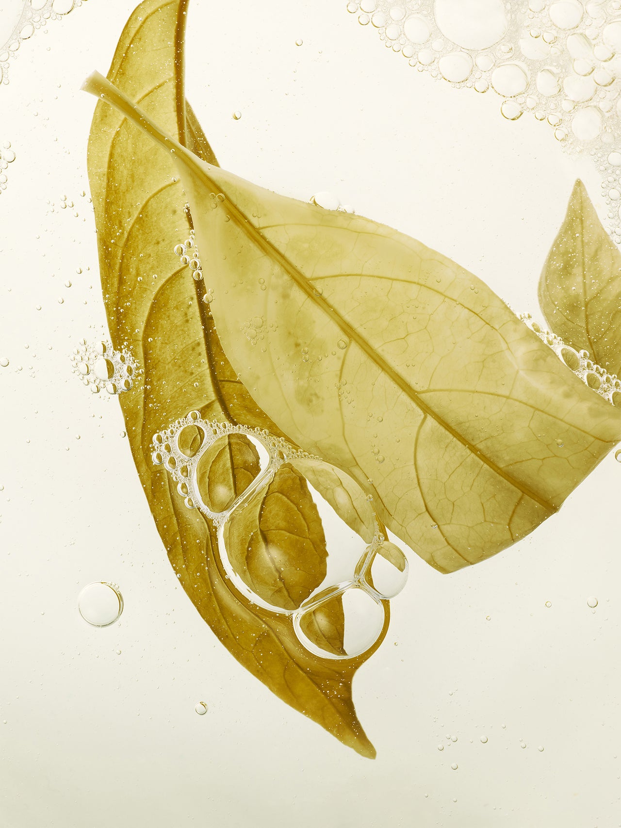 Organic Herb Olive Leaf Mist