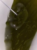 갤러리 뷰에서 이미지 Organic Algae Kelp Mask 로드